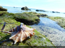 Menangkap Air di Desa Anggaduber