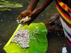 Mencari Garam di Gunung
