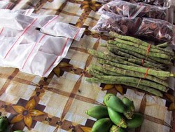 Mencari Gedung Pari, Mendapat Pinang Sirih