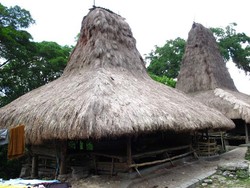 Mengenal Rumah Tradisional Sumba