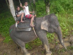 Mengendarai Ardana di Tangkahan