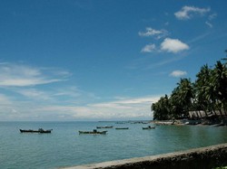 Menikah dengan Kelapa?