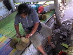 Menikmati Durian di Brastagi