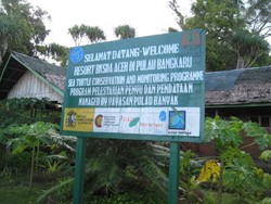 Menjadi Fanatik dengan Penyu