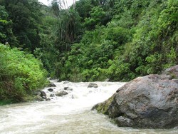 Menjelajah Gurah Ketambe