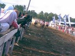 Menonton Pacuan Kuda Ambal, Kebumen