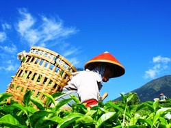 Menyapa Alam Raya Bersahaja di Pagaralam