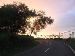 Menyingkap Pesona Pantai Air Petai