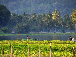 Merasakan Sensasi Alam dan Keramahan Penduduk di Danau Ranau