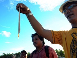 Merasakan Tambelo, Menantang Nyali
