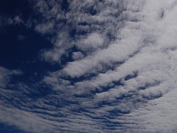 Mesjid Tertua di Tanah Papua