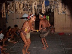 Nyanyian Alam dari Bumi Sikerei