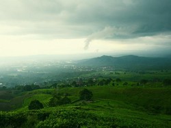 Pagar Alam yang Alami