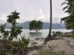 Pantai Mali , Pulau Alor