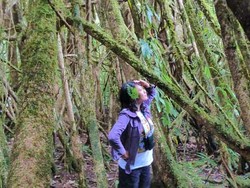 Pantai, Teluk, Sungai, Air Terjun. Semua Terjelajahi!