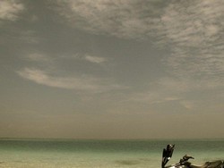 Paradise Within Reach