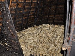 Pasar Tradisional Kupang disaat Pagi dan Malam