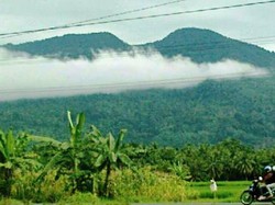 Pendakian Belantara Hijau Menuju Puncak Raja Basa