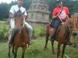 Pengalaman Berkuda di Candi Gedong Songo