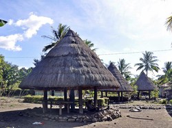 Pengarajin Tenun Ikat Tradisional di Desa Maubesi