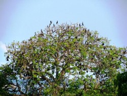 Perjalanan Pulang Kembali ke Jakarta