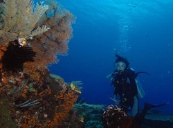 Perusak atau Penyelamat RAJA AMPAT