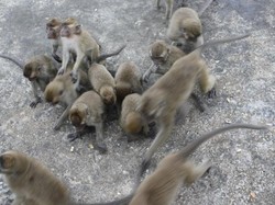 Pesona Bawah Air Gili Trawangan