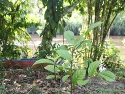 Petualang ACI Tinggalkan Jejak Kenangan di Tanjung Harapan