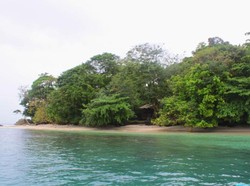 Petualangan Mencari Lumba-Lumba di Kiluan