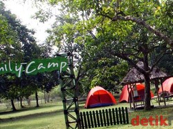 Piknik Asyik Akhir Pekan di Kebun Buah