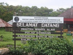 Pulau Kembang, Kerajaan Monyet di Banjarmasin