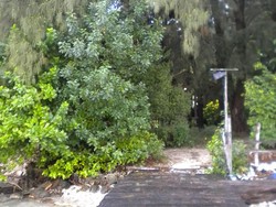 Pulau Pramuka, Kenapa Tidak?