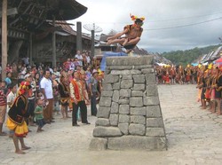 Regenerasi Hombo Batu