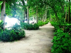 Rileks di Alam Kotok