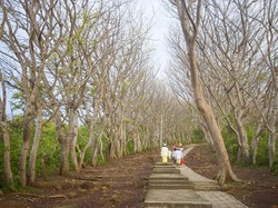 Romantisme Berakhir Tragis di Makam Jayaprana dan Layonsari