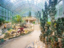 Rumah Kaktus Bali Botanical Garden