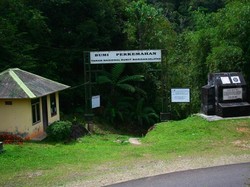 Salam Untuk Rafflesia dan Burung Tohtor