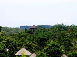 Samboja Lodge, Mendefinisi Ulang Arti Kemewahan