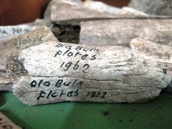 Sang Pemandu, Guru Konservasi