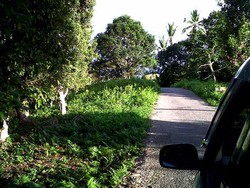 Sejuta Potensi Fak-Fak