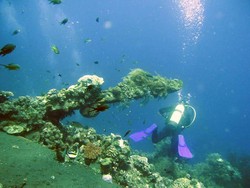 Selamat Datang di Taman Bermain Bawah Laut Tulamben