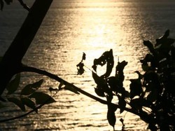 Senja di Bukit Malimbu