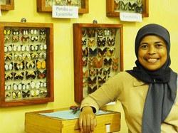 Seribu Kupu-Kupu di Papua