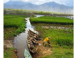 Si Cantik Rawa Pening
