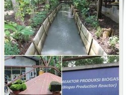 Si Manis Cokelat dari Jember