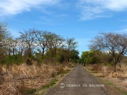 Siapa Perlu Pergi ke Afrika dan Australia Bila Ada Baluran