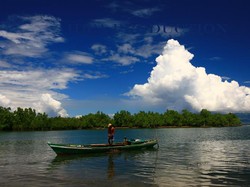 Sidangoli Expedition: Menelusuri Kerajaan Burung Bidadari di Halmahera Barat