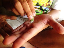 Sirih Penyambut Kedatangan di Pulau Sumba