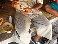 Sirih Penyambut Kedatangan di Pulau Sumba