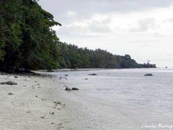 Snorkeling di Gugusan Terumbu Karang Pulau Mansinam